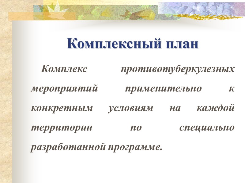 Комплексный план Комплекс противотуберкулезных мероприятий применительно к конкретным условиям на каждой территории по специально